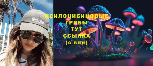 тгк Осинники
