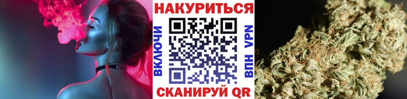 где купить наркоту  Благодарный  Каннабис план 